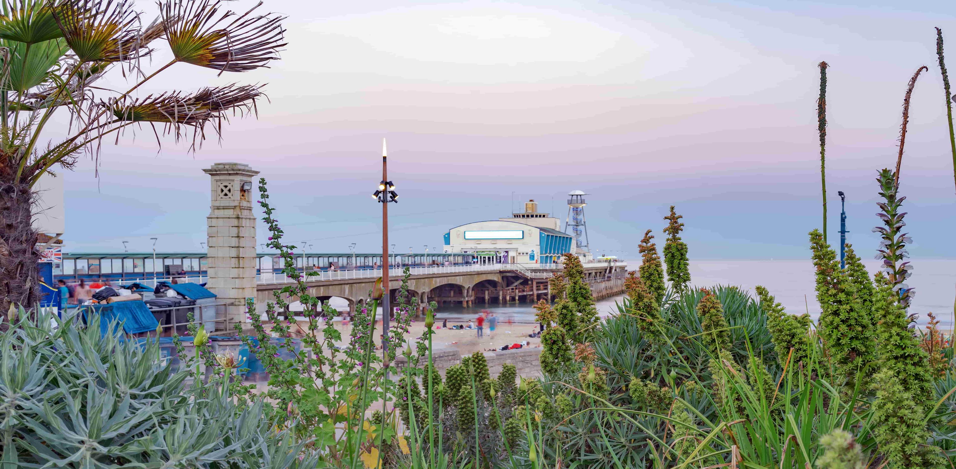 Reed Bournemouth